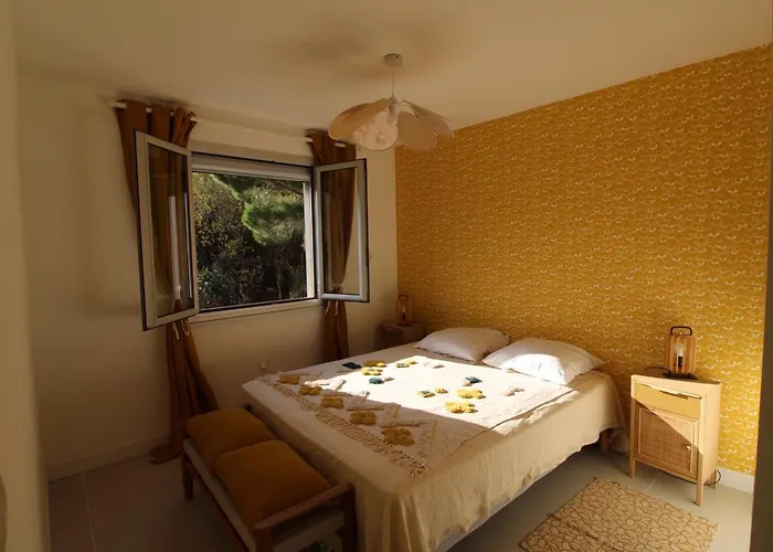 Apartman Moderne A Collioure, 3 Pour 8 Personnes - Fr-1-309-355 *
